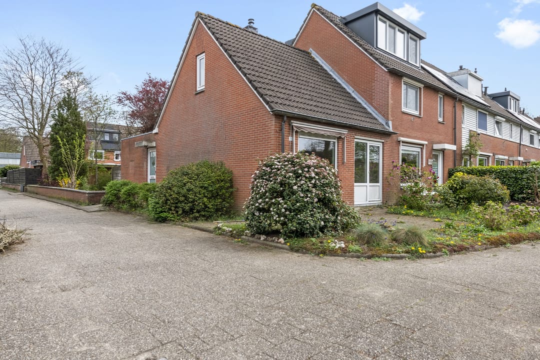 Foto 1 van Roerdompweide 2