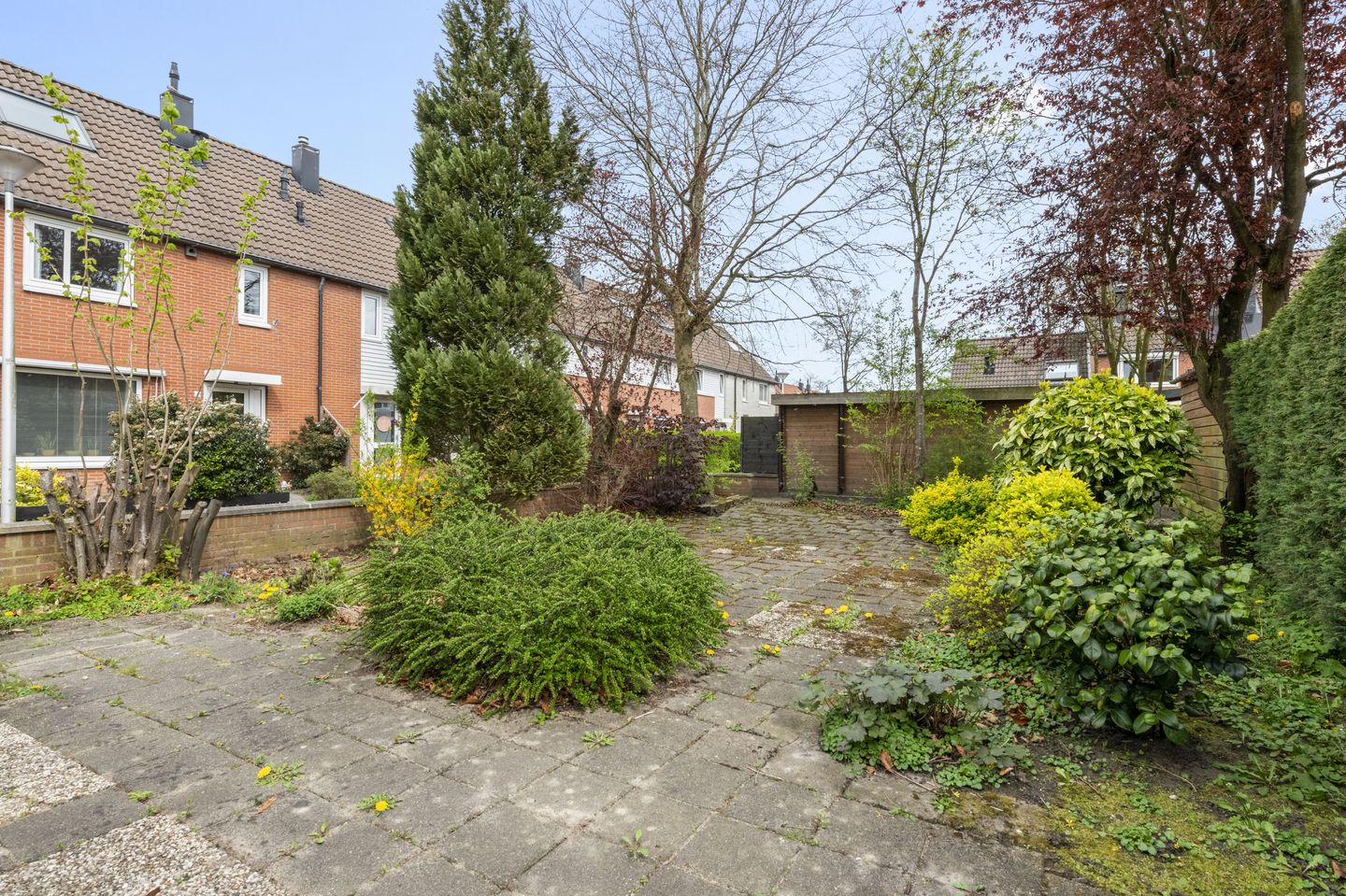 Foto 20 van Roerdompweide 2