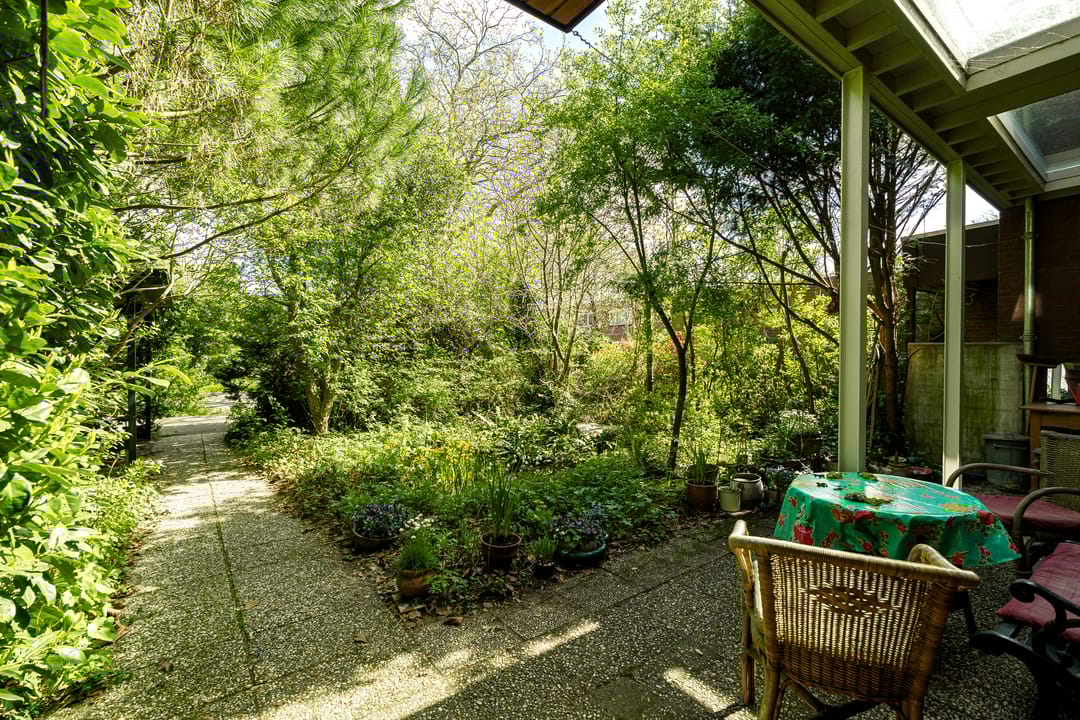 Foto 8 van Terworm 8