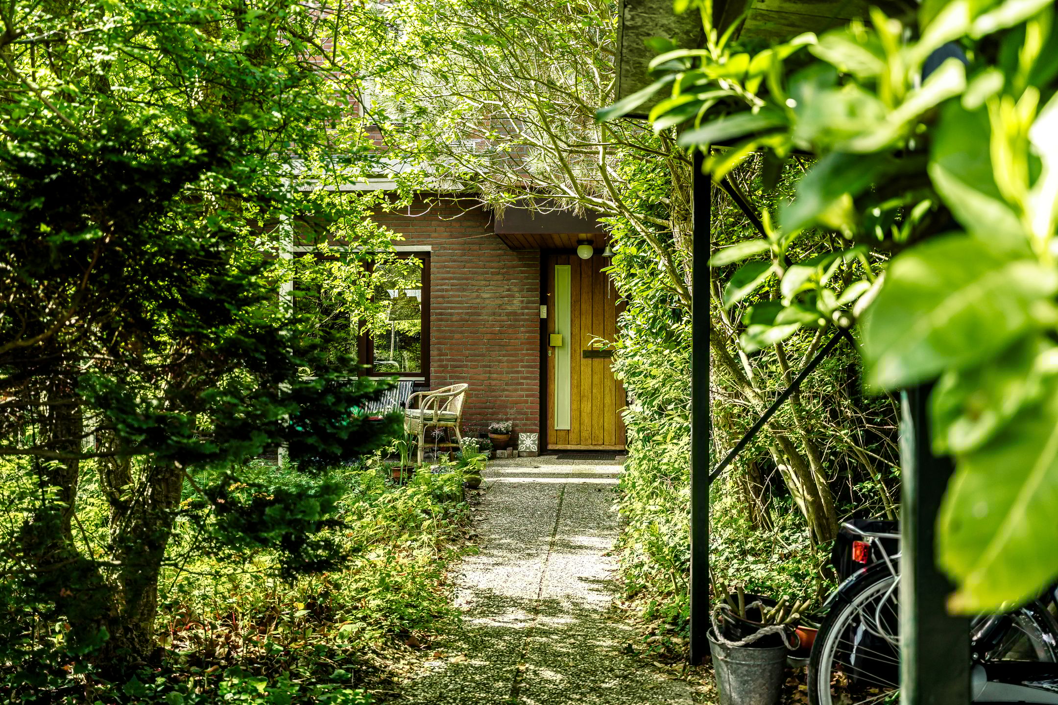 Foto 6 van Terworm 8