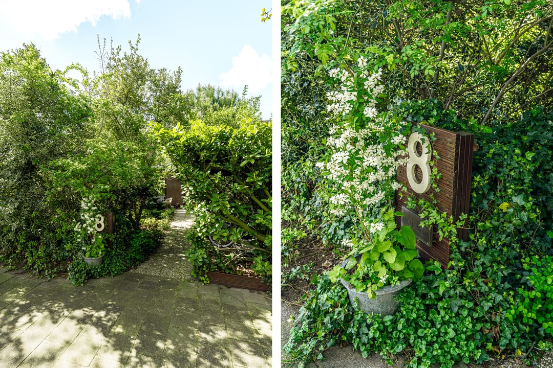 Foto 7 van Terworm 8