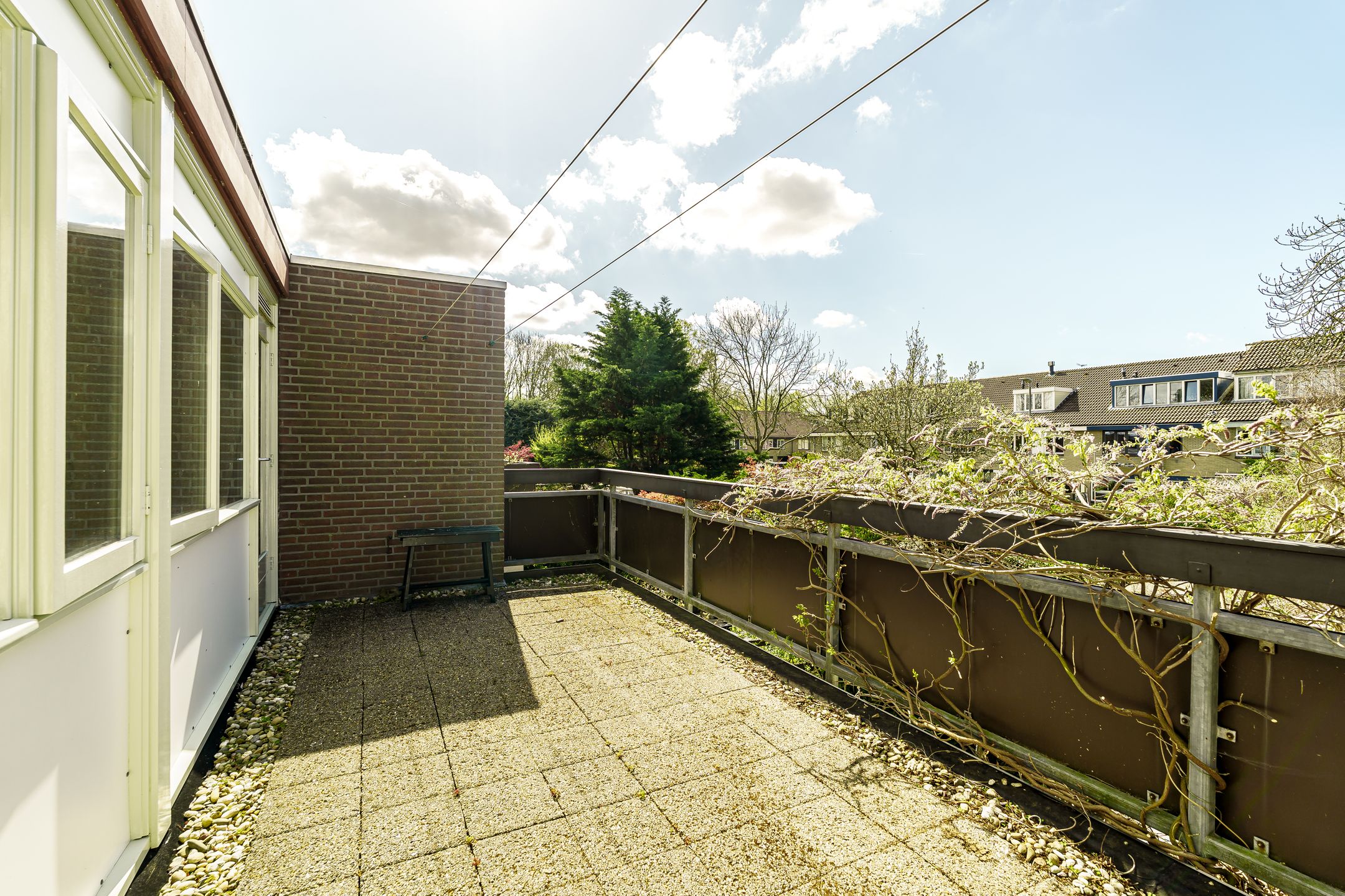 Foto 36 van Terworm 8