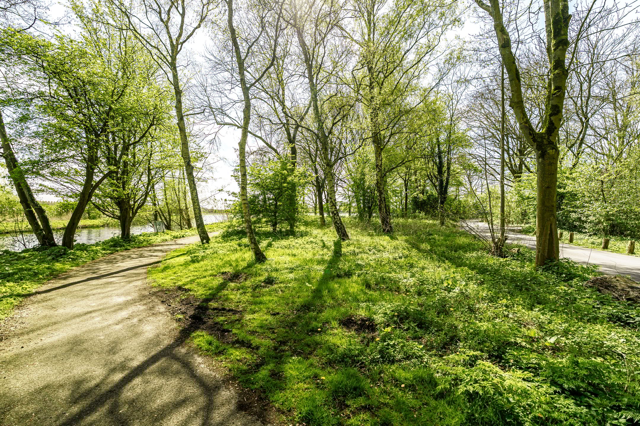 Foto 39 van Terworm 8