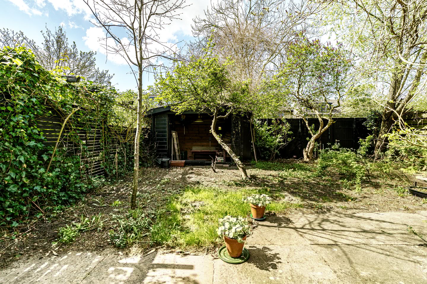 Foto 20 van Terworm 8