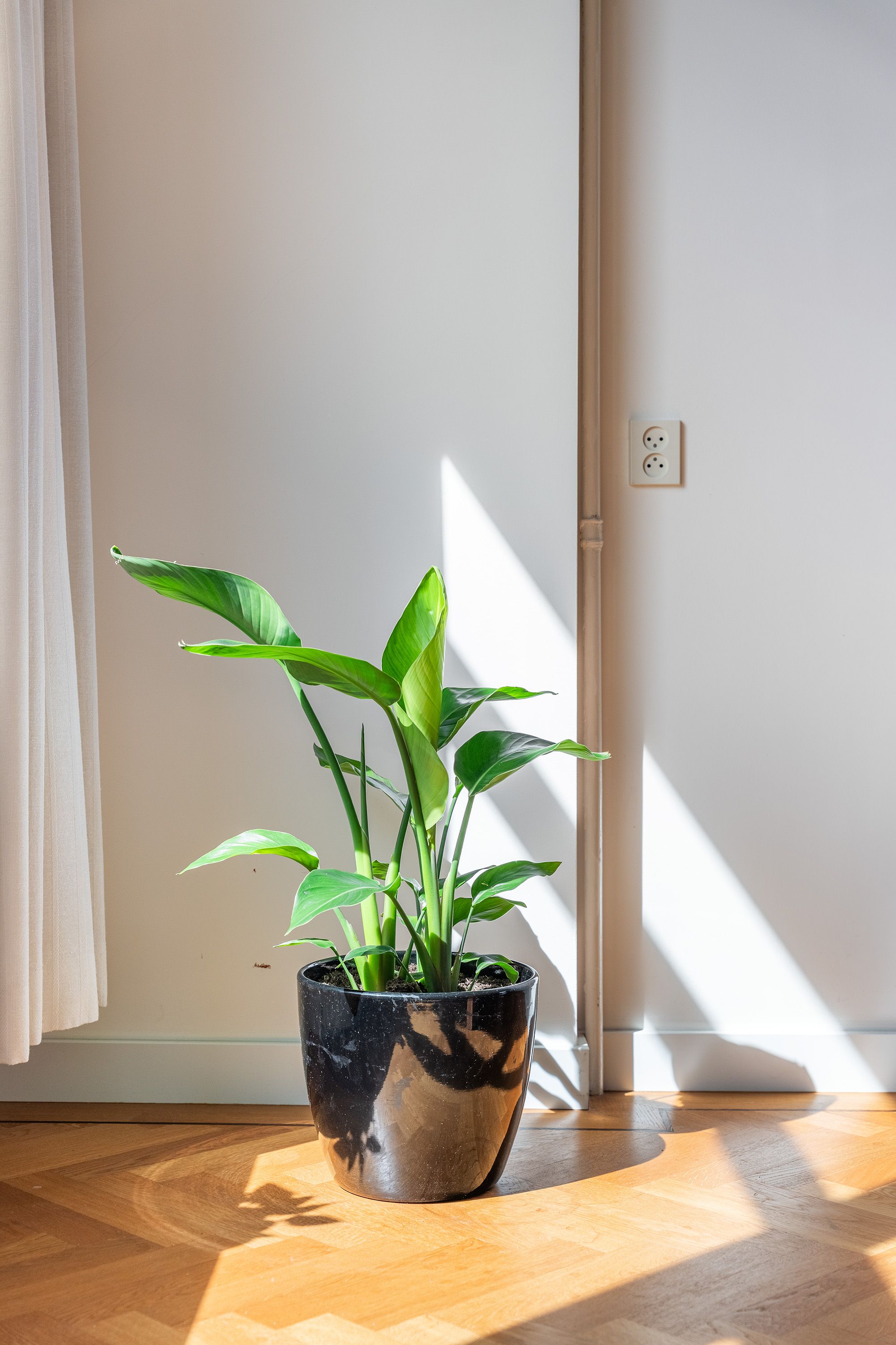 Foto 48 van Koningin Emmakade 154-B