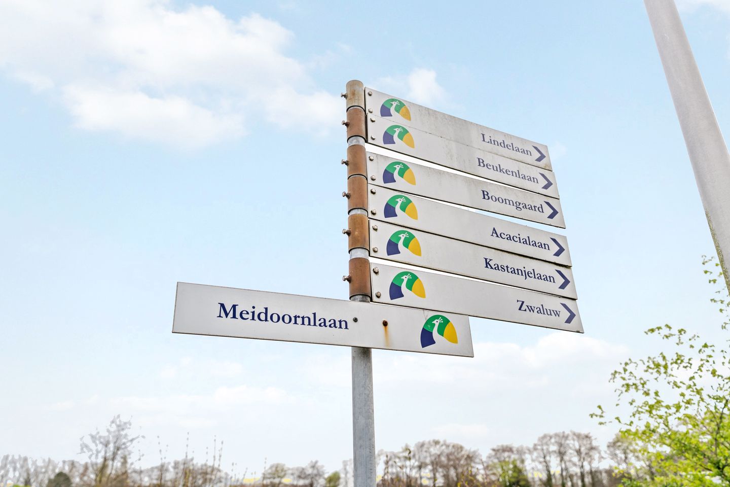 Foto 40 van C G v Kleijburgweg 3-5