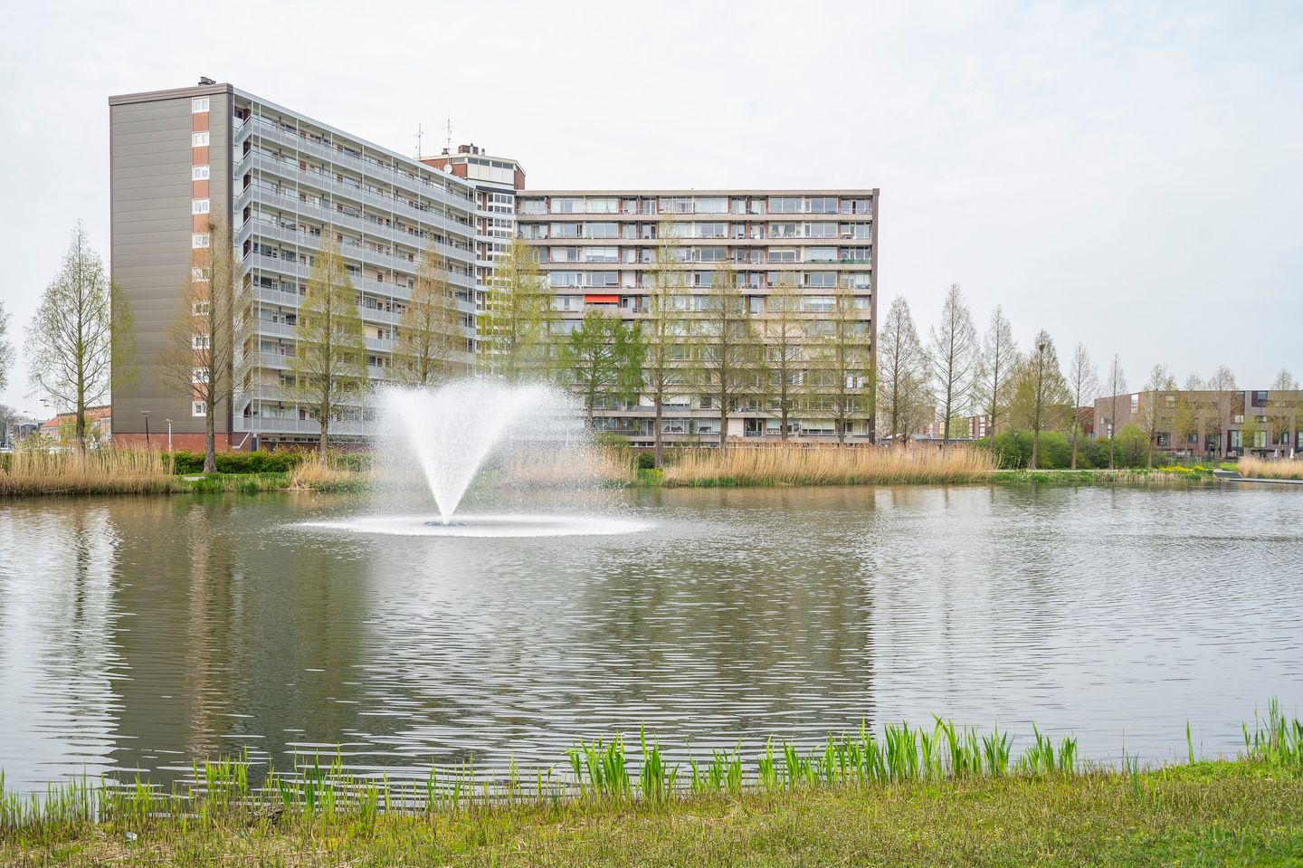 Foto 5 van Vrijheer van Eslaan 457