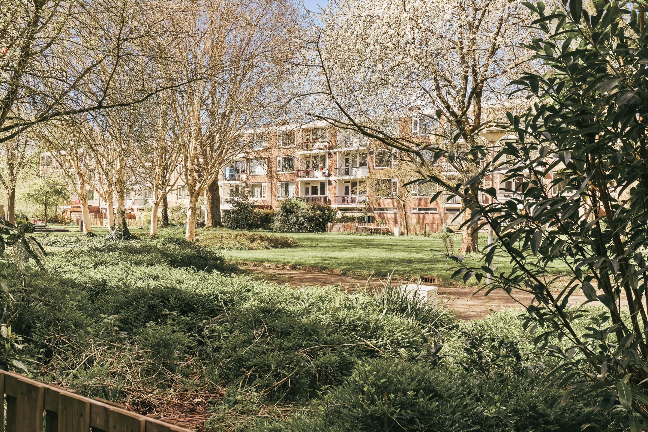 Foto 48 van Schierstins 10