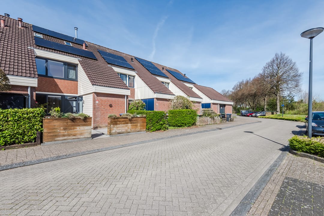 Foto 2 van Punter 24 75