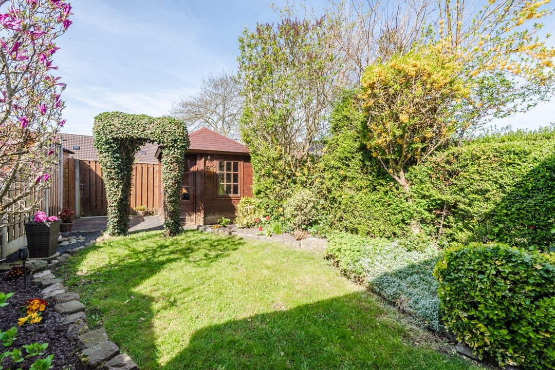 Foto 38 van Punter 24 75