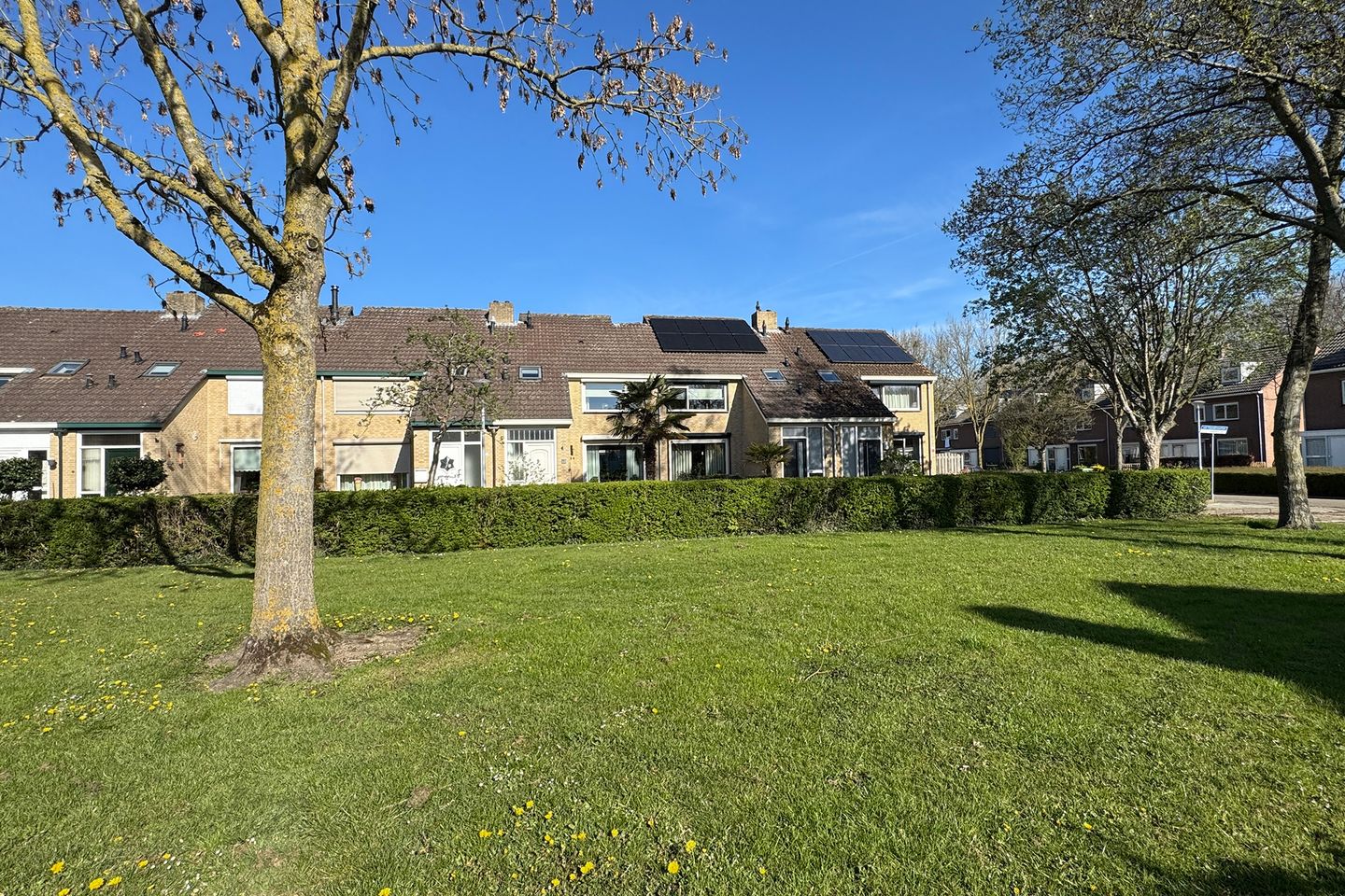 Photo 64 of Van Vlaanderenstraat 35