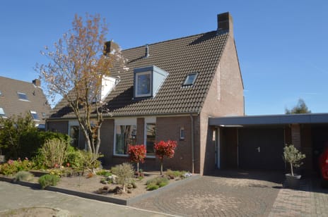 Blauwborst thumbnail