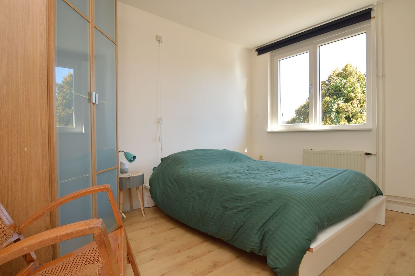 Photo 10 of Blauwborst 3