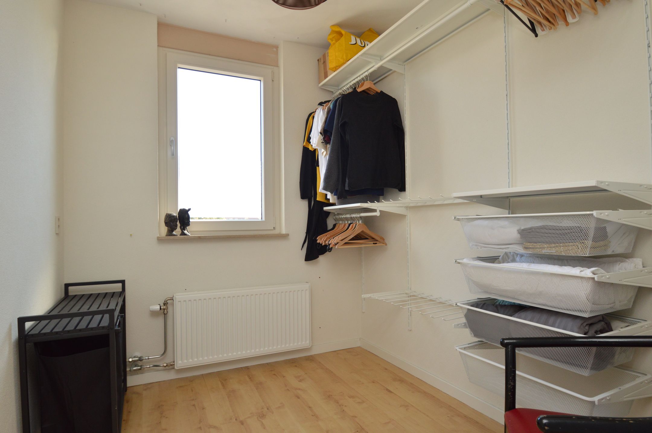 Photo 12 of Blauwborst 3