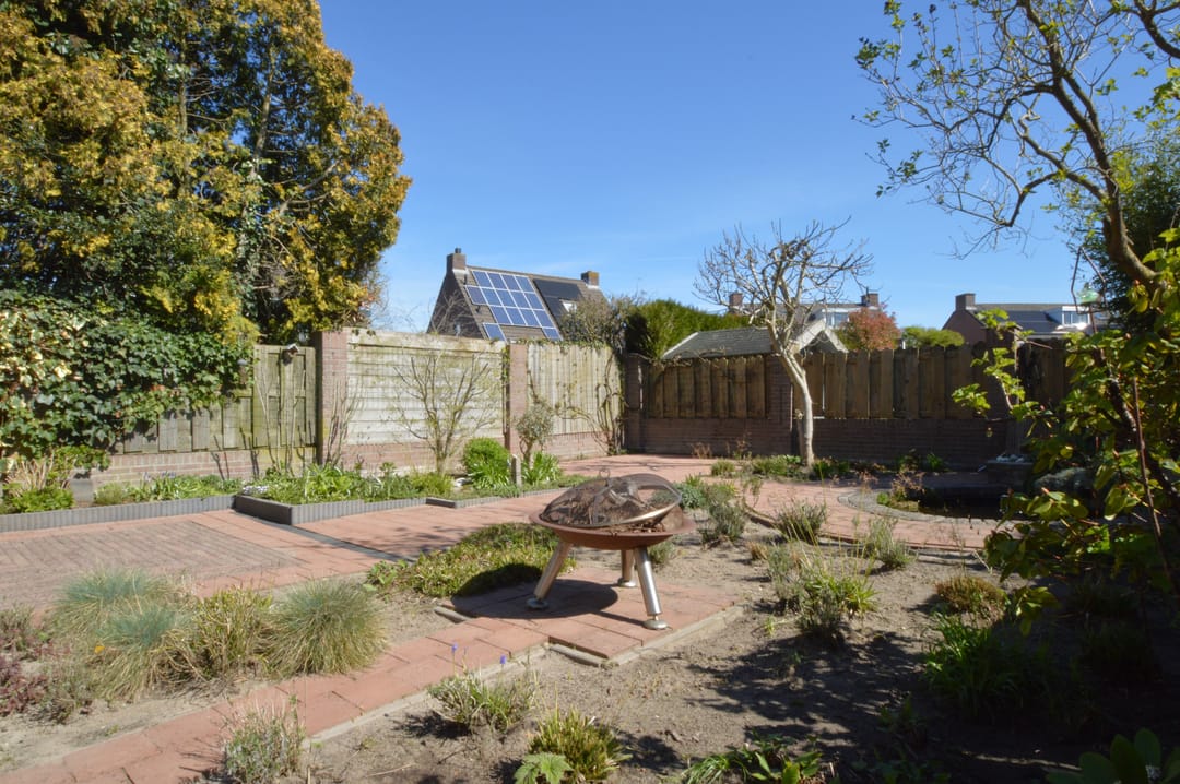 Photo 26 of Blauwborst 3