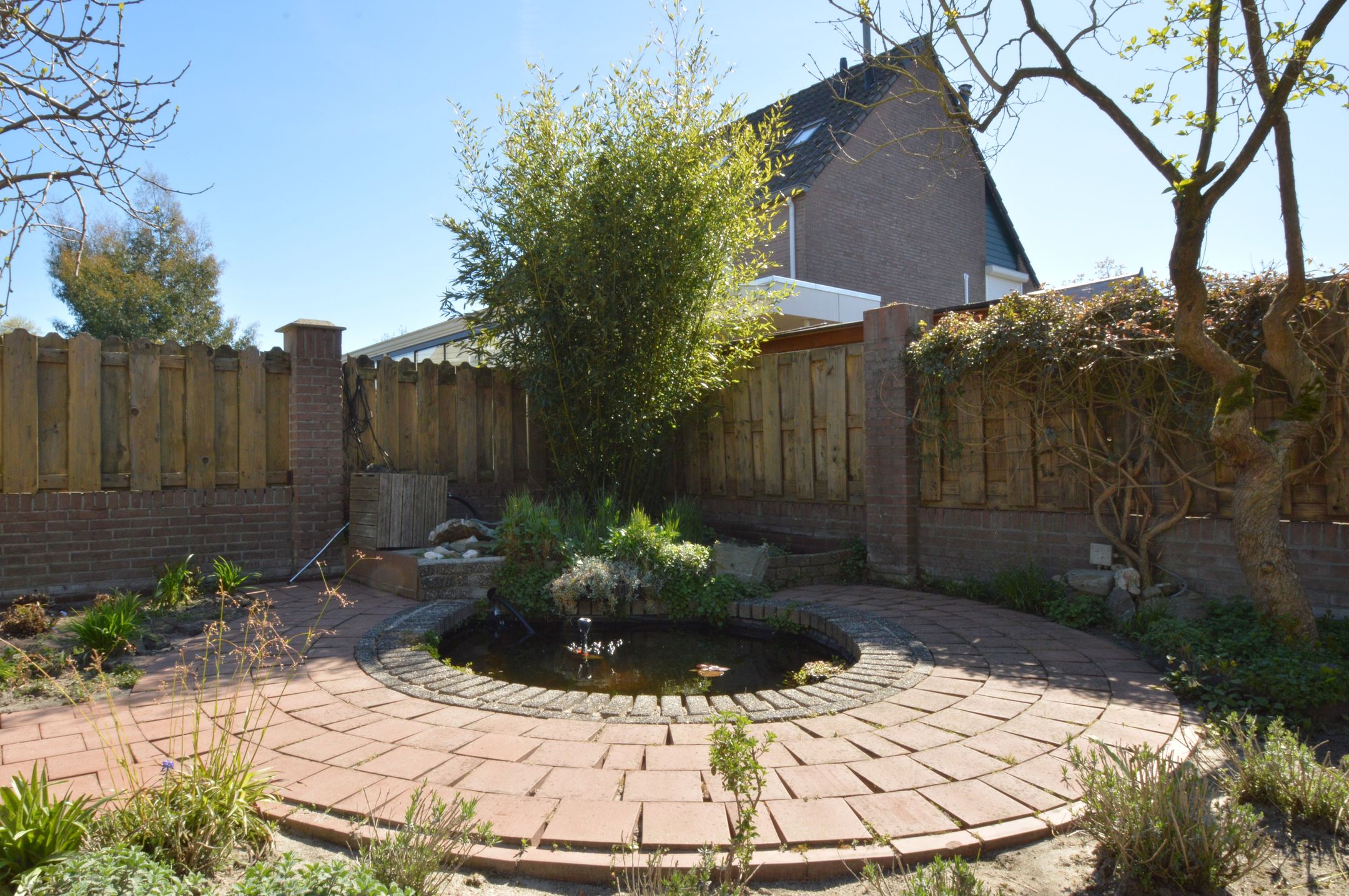 Photo 27 of Blauwborst 3