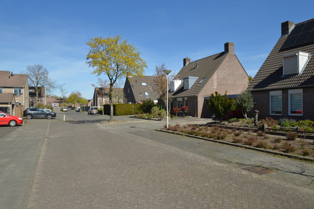 Photo 28 of Blauwborst 3