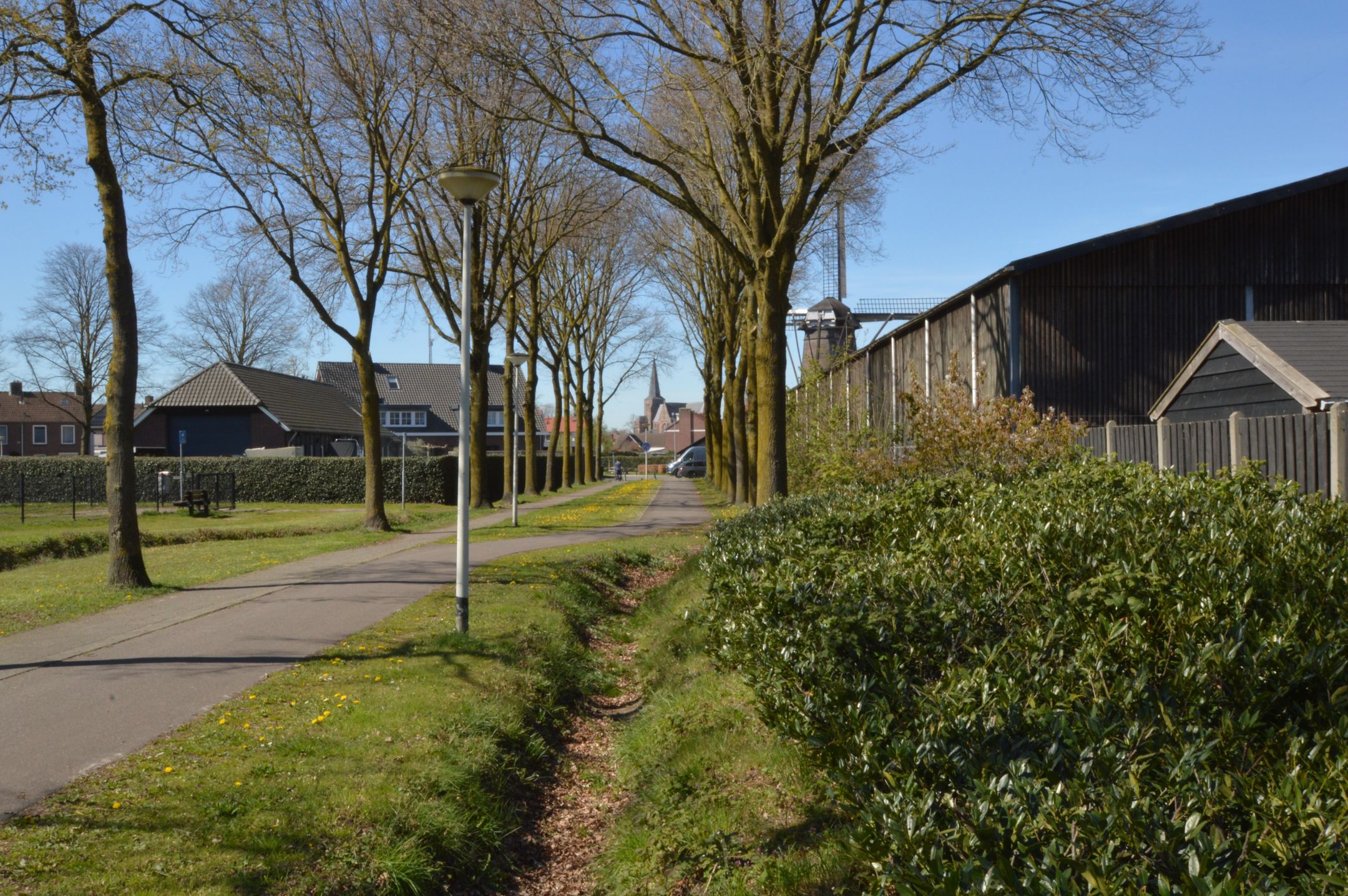 Photo 30 of Blauwborst 3