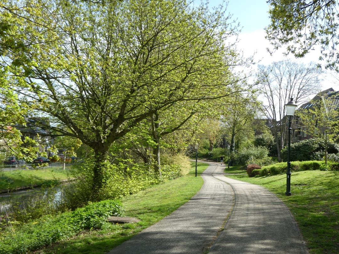 Photo 68 of Schimmelpenninckstraat 62