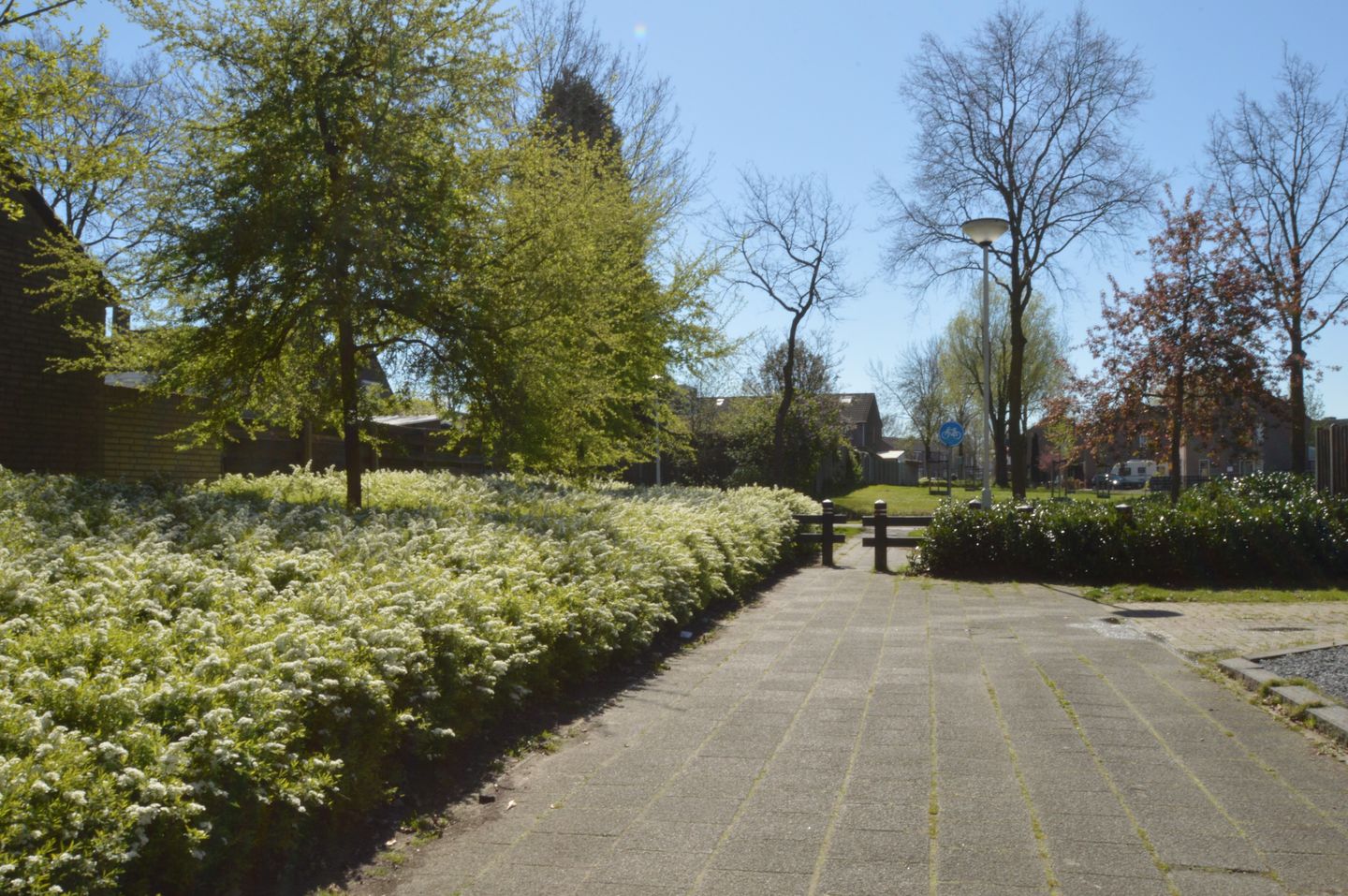 Photo 29 of Blauwborst 3