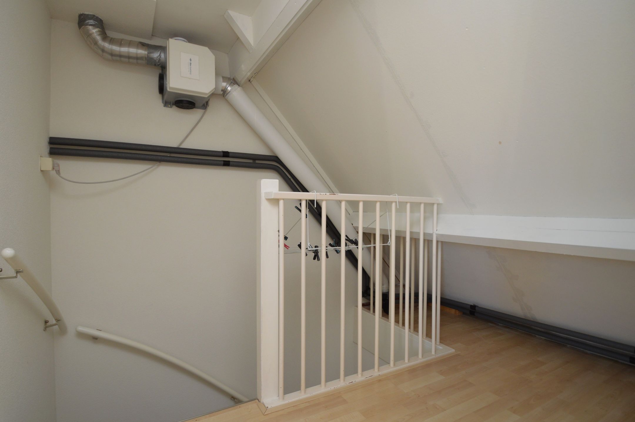 Photo 18 of Blauwborst 3