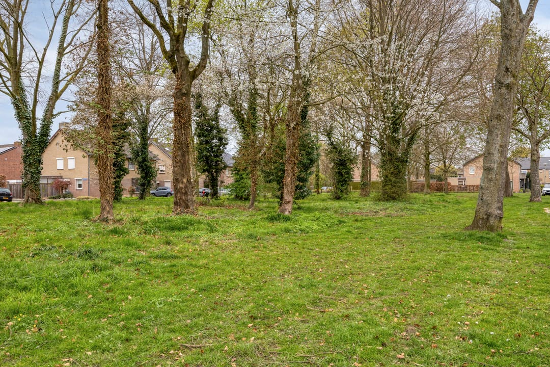 Foto 43 van Oldenneelhof 3