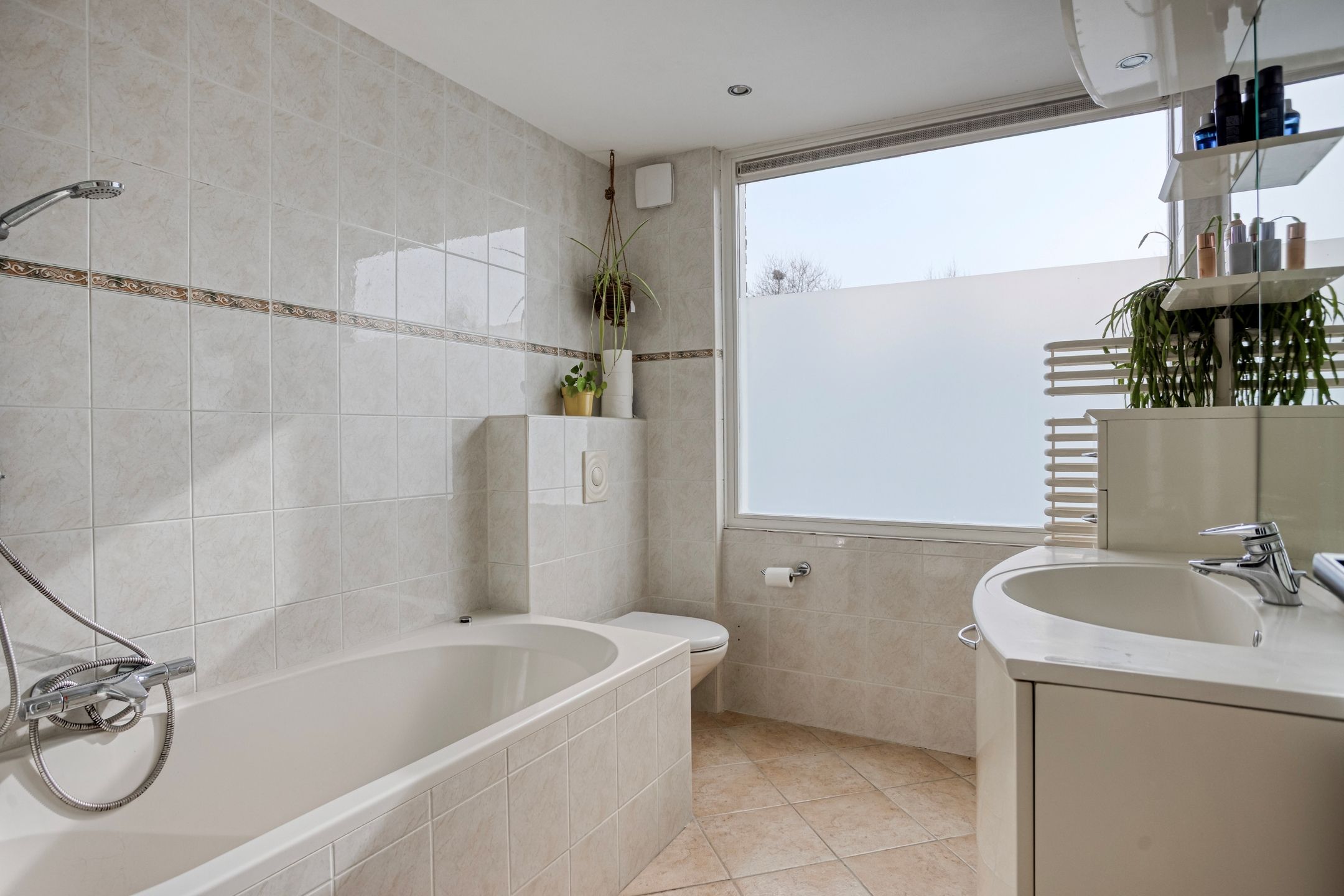 Foto 24 van Groote Olven 2