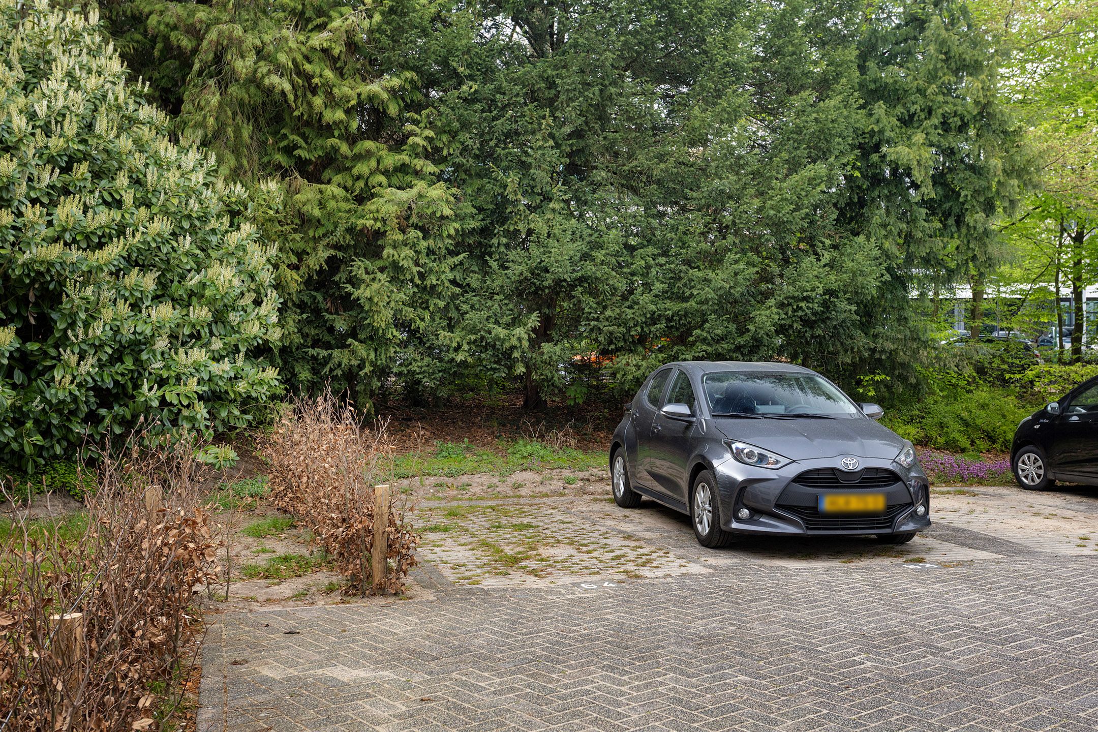 Foto 21 van Oude Utrechtseweg 141