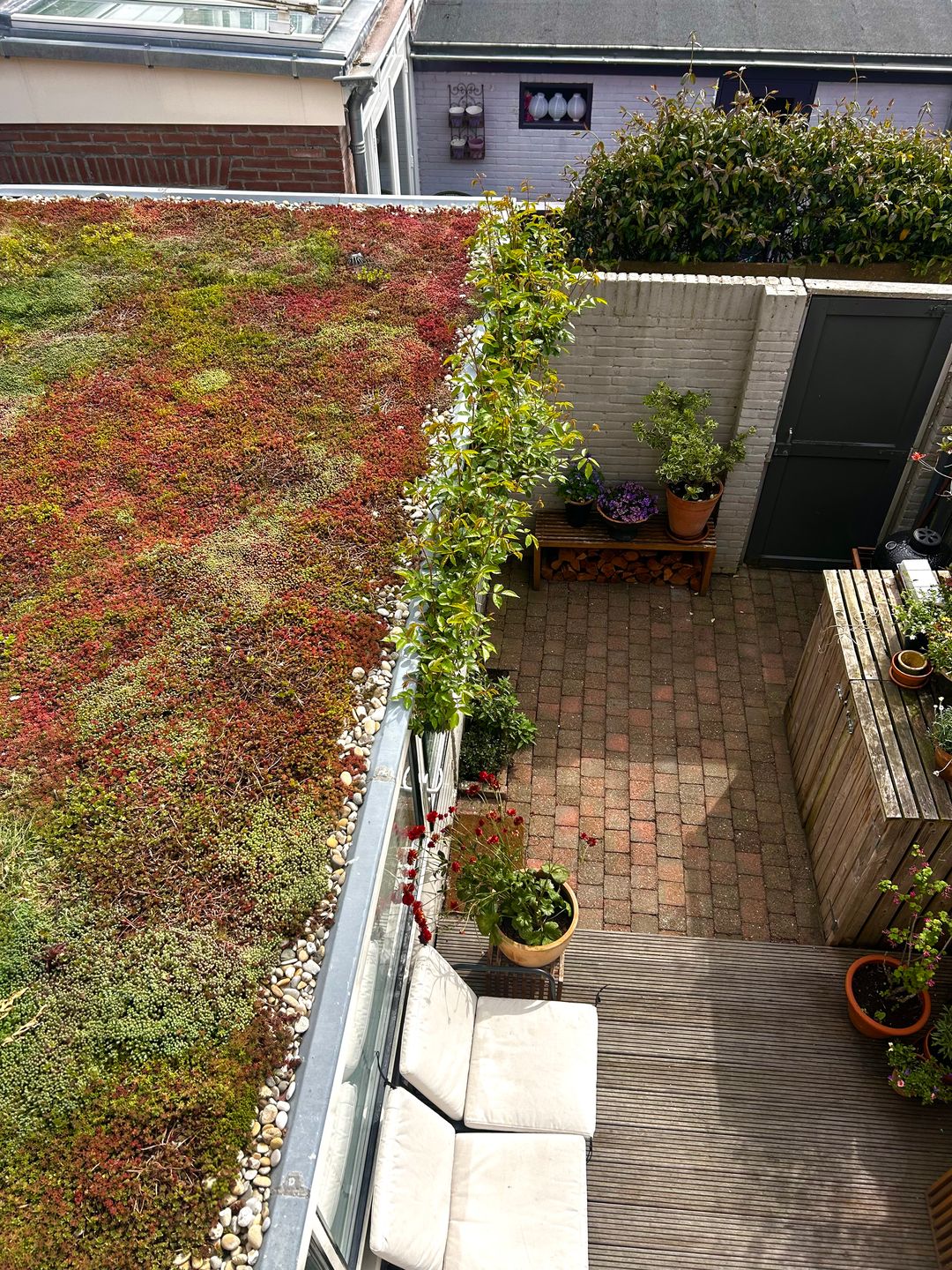 Foto 26 van Elzenplein 60