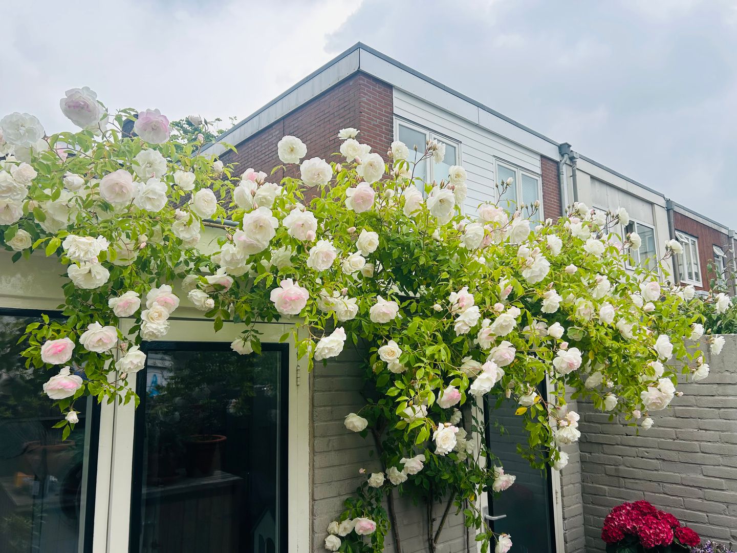 Foto 25 van Elzenplein 60