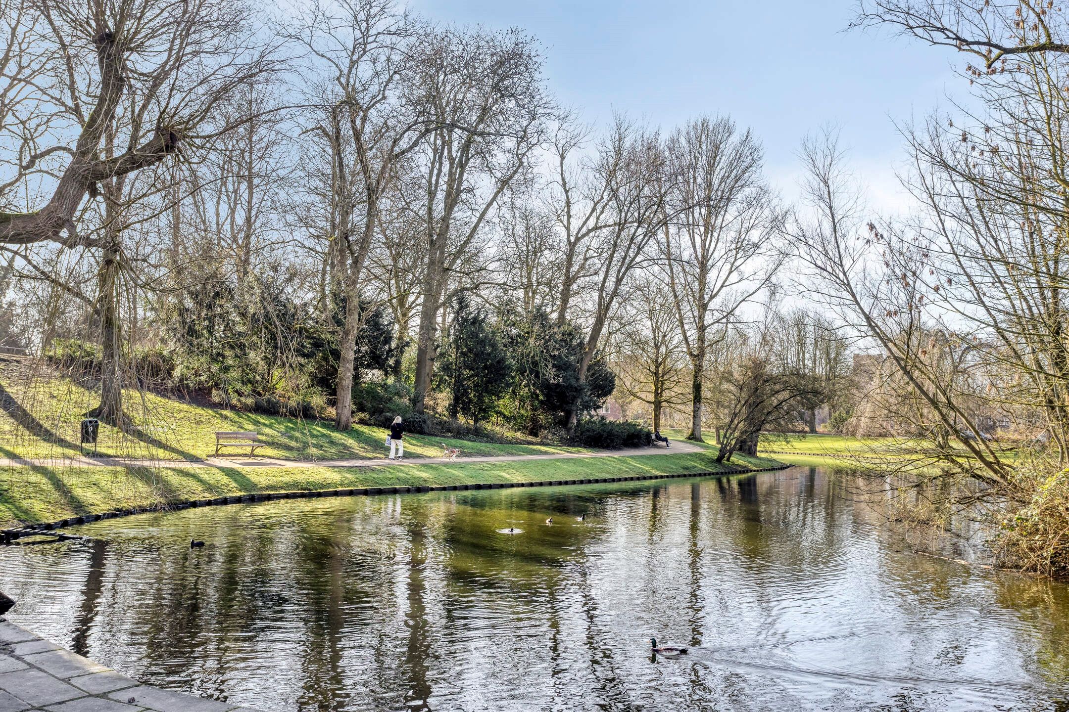 Photo 33 of Koninginnelaan 24-A