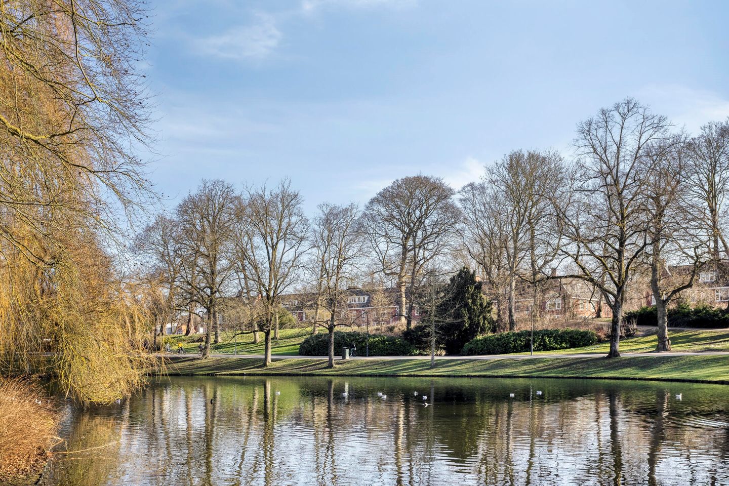 Photo 34 of Koninginnelaan 24-A