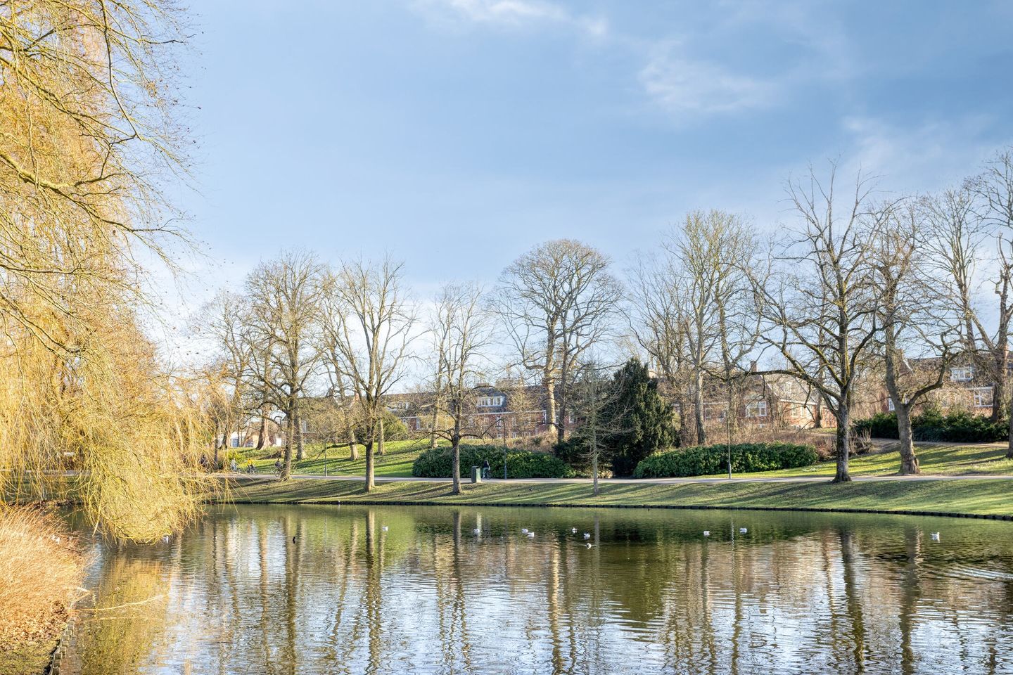 Photo 35 of Koninginnelaan 24-B