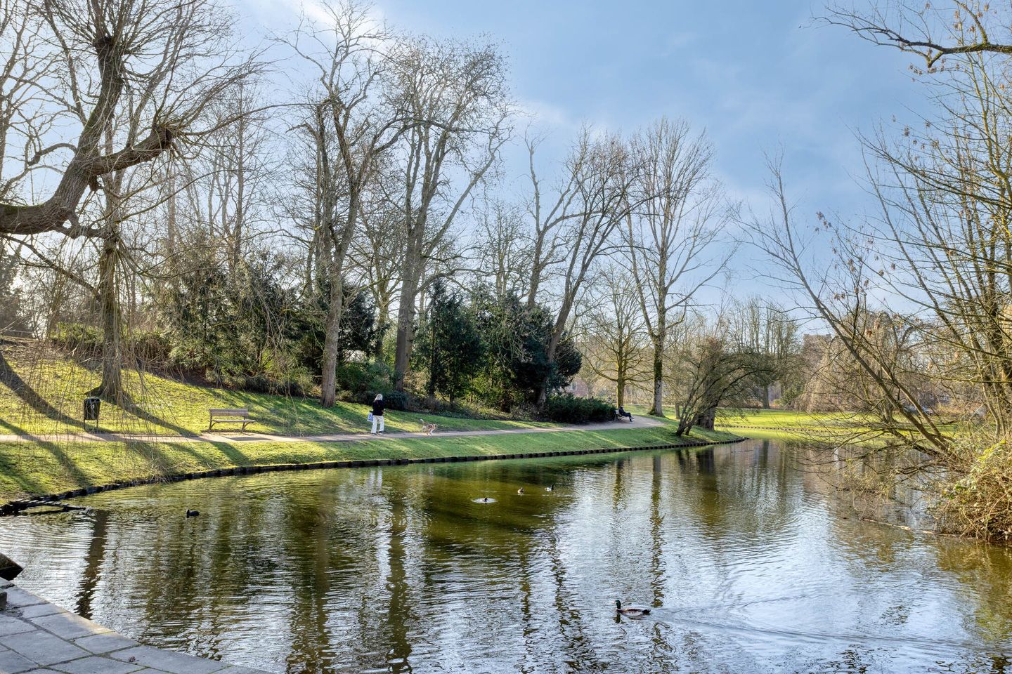 Photo 34 of Koninginnelaan 24-B