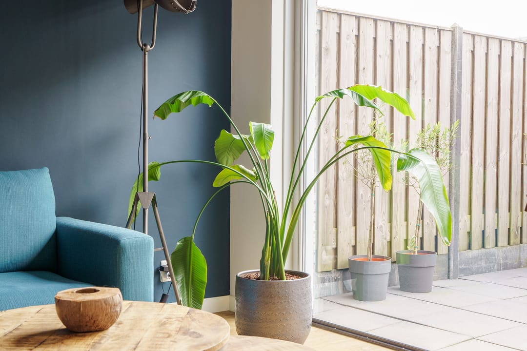 Photo 13 of Roegoorn 5-E