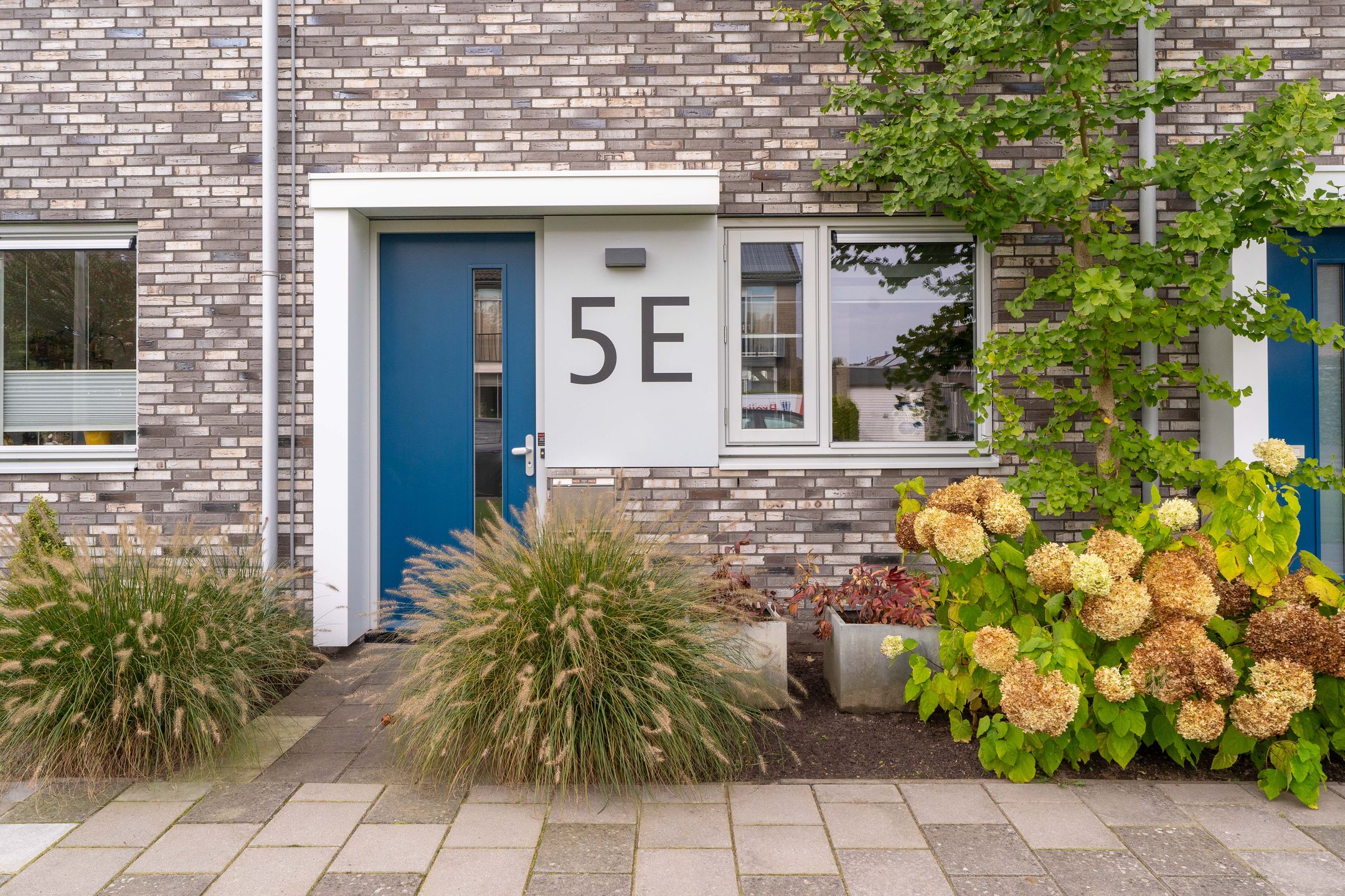 Photo 9 of Roegoorn 5-E