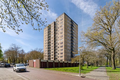 Vanekerstraat thumbnail