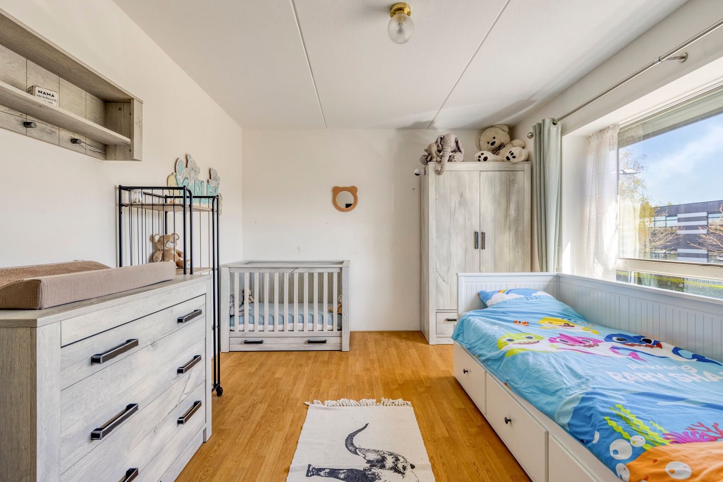 Foto 25 van Sassenheimstraat 9