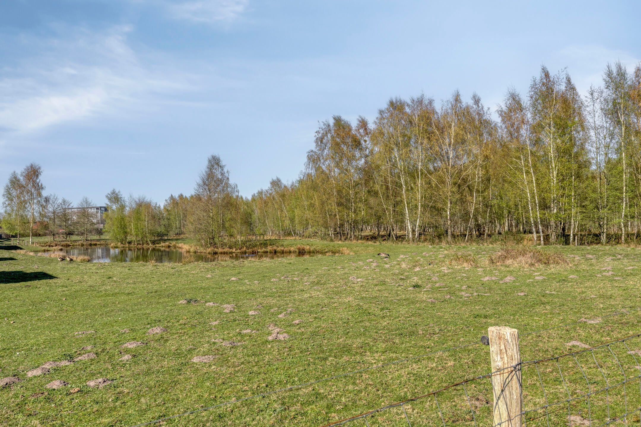 Foto 39 van Sassenheimstraat 9