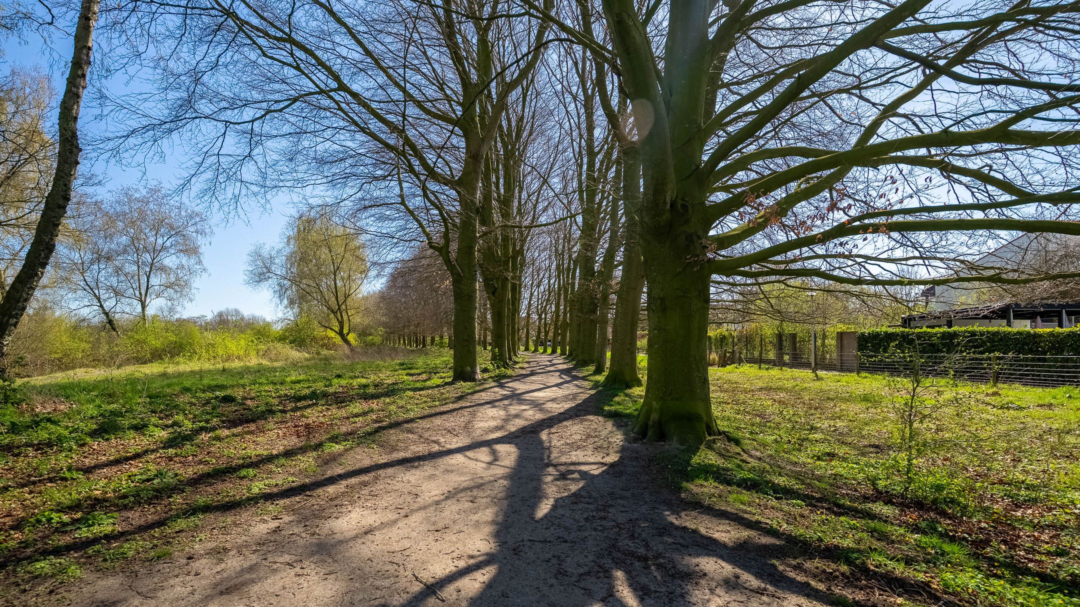 Photo 33 of Rensumaborg 17