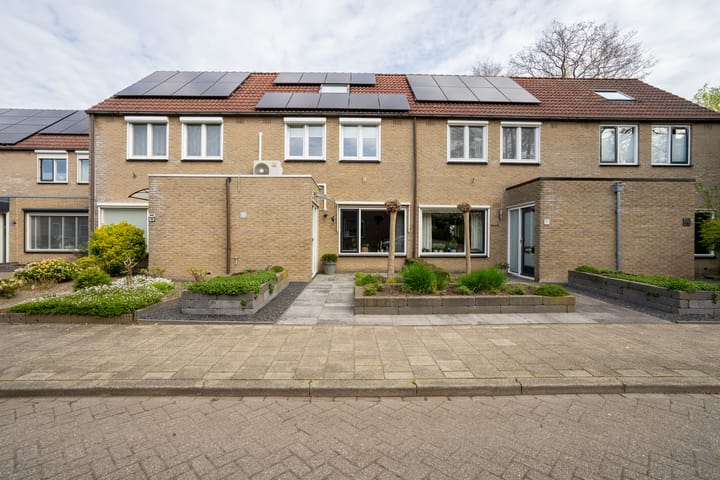 Zevenblad 21 main image