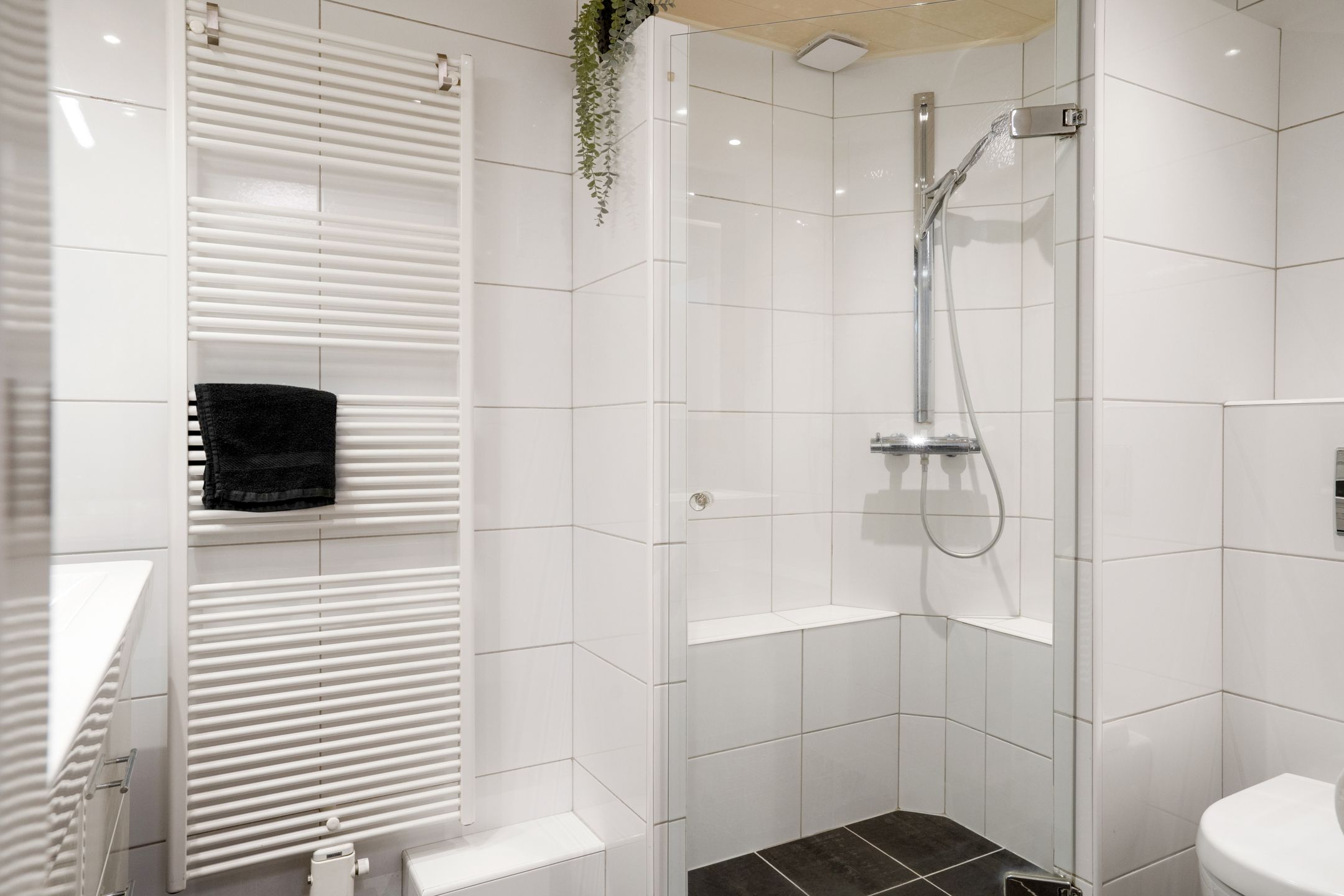 Foto 27 van Zevenblad 21