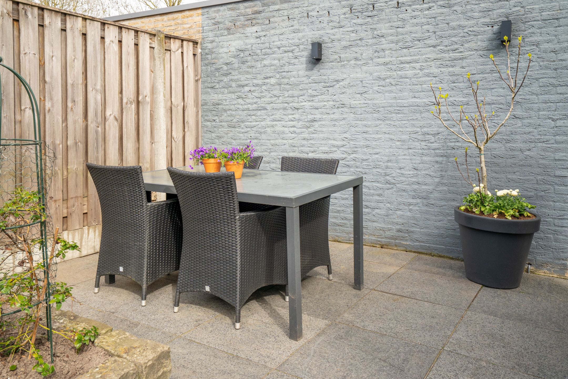 Foto 39 van Zevenblad 21