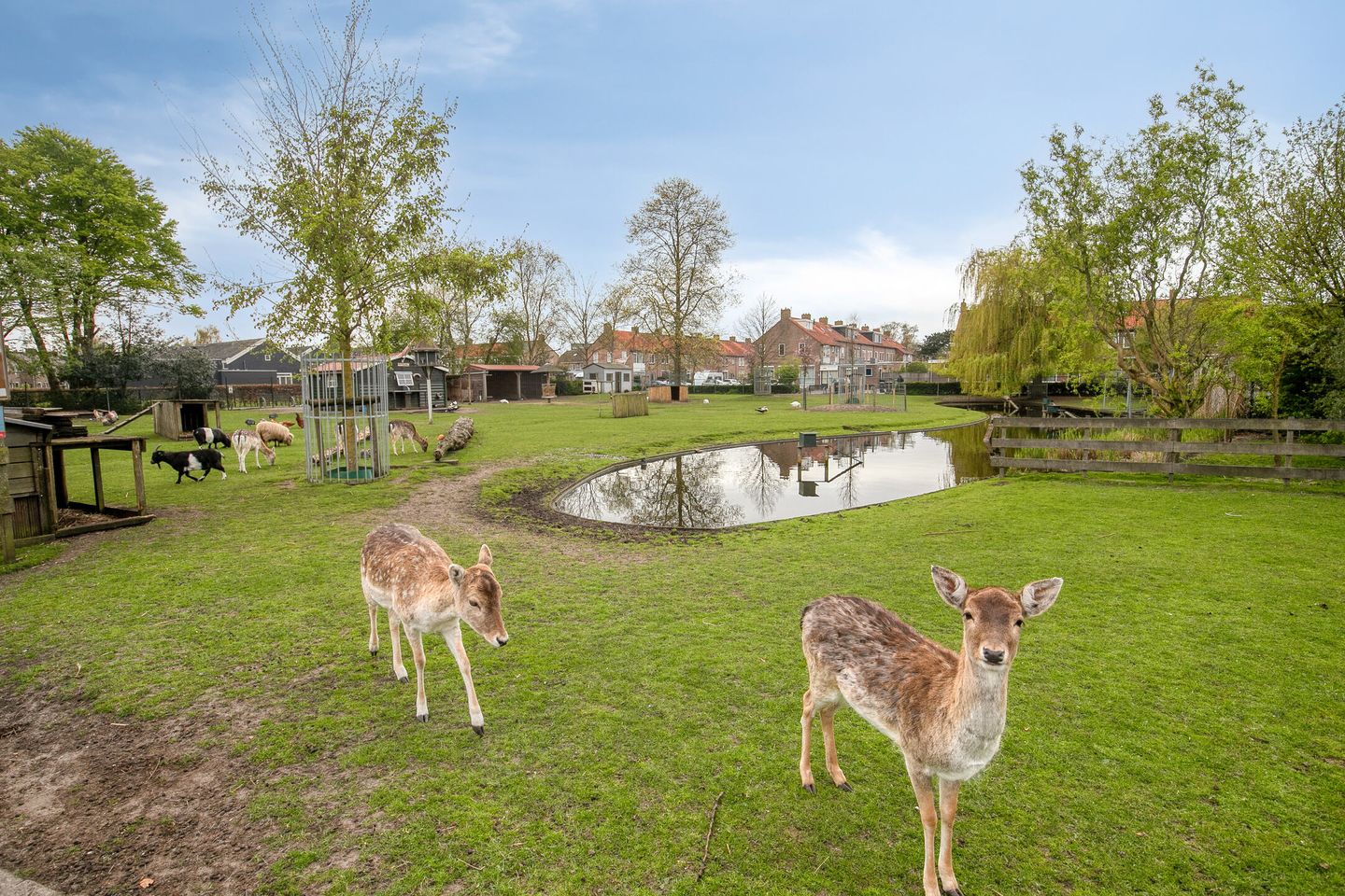 Foto 34 van Bernard Nieuwentijtstraat 62