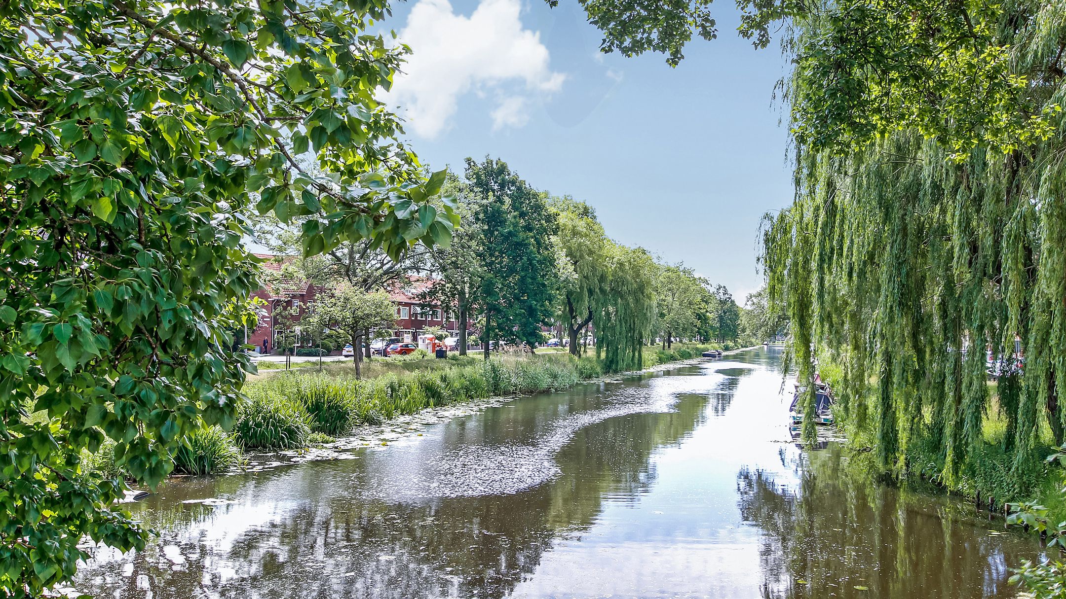 Foto 39 van Van Nouhuysstraat 31-B