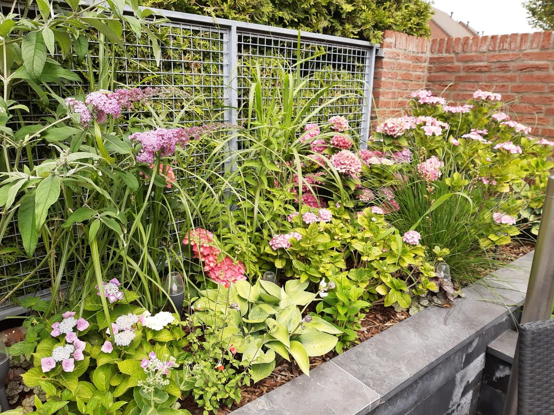 Photo 31 of Koninginnelaan 71-A