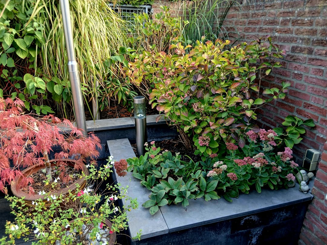 Photo 32 of Koninginnelaan 71-A