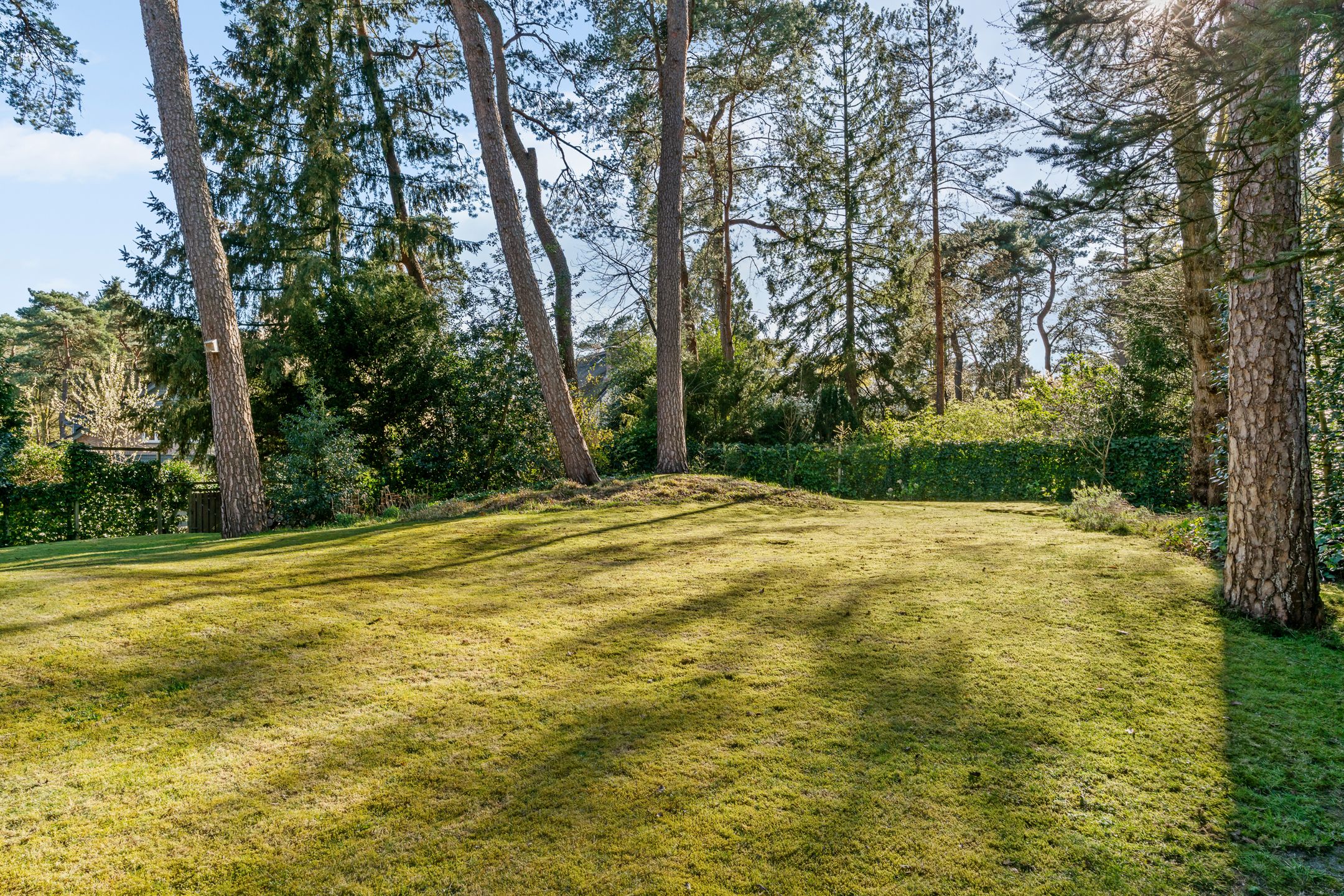 Foto 45 van Mozartlaan 28