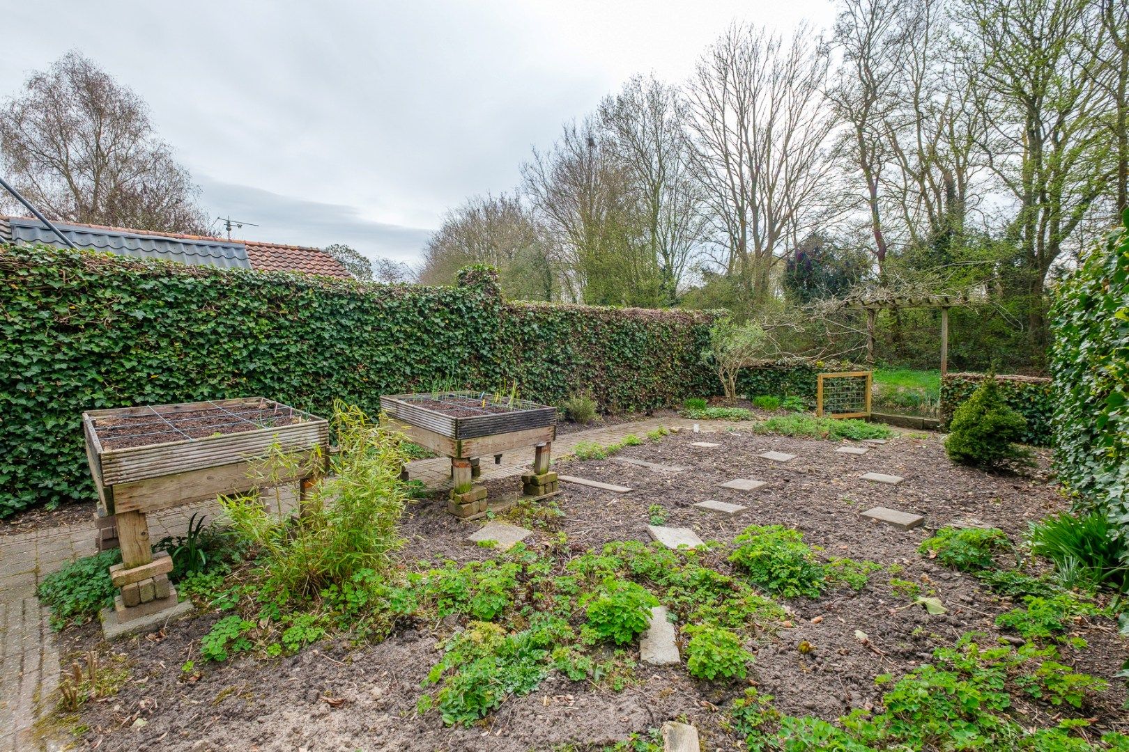 Foto 3 van Achterweg 24