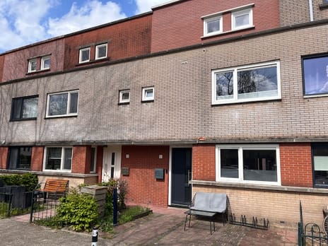 undefined main image